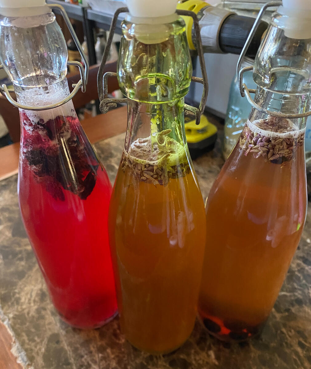 kombucha 201