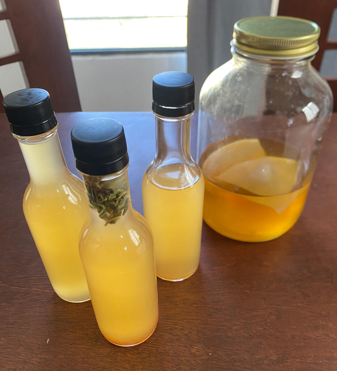 flavored kombucha